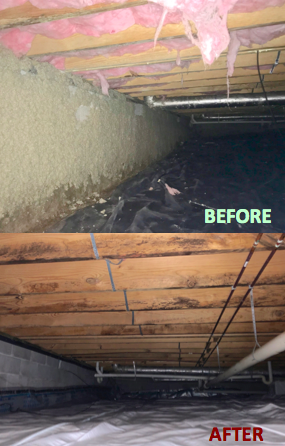 Before and After Crawlspace Photo