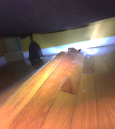 Preserve Hardwood Floors With Moisture Control E3