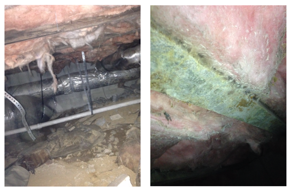 The effects of moisture on a crawlspace in Middle Tennessee