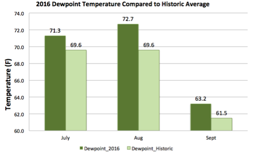 2016 average dew point temperature, Nashville TN