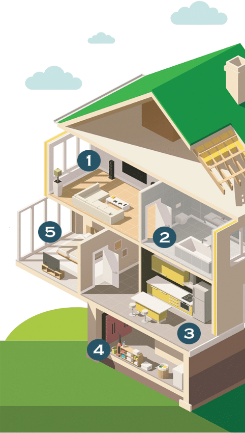 whole home symptoms infographic