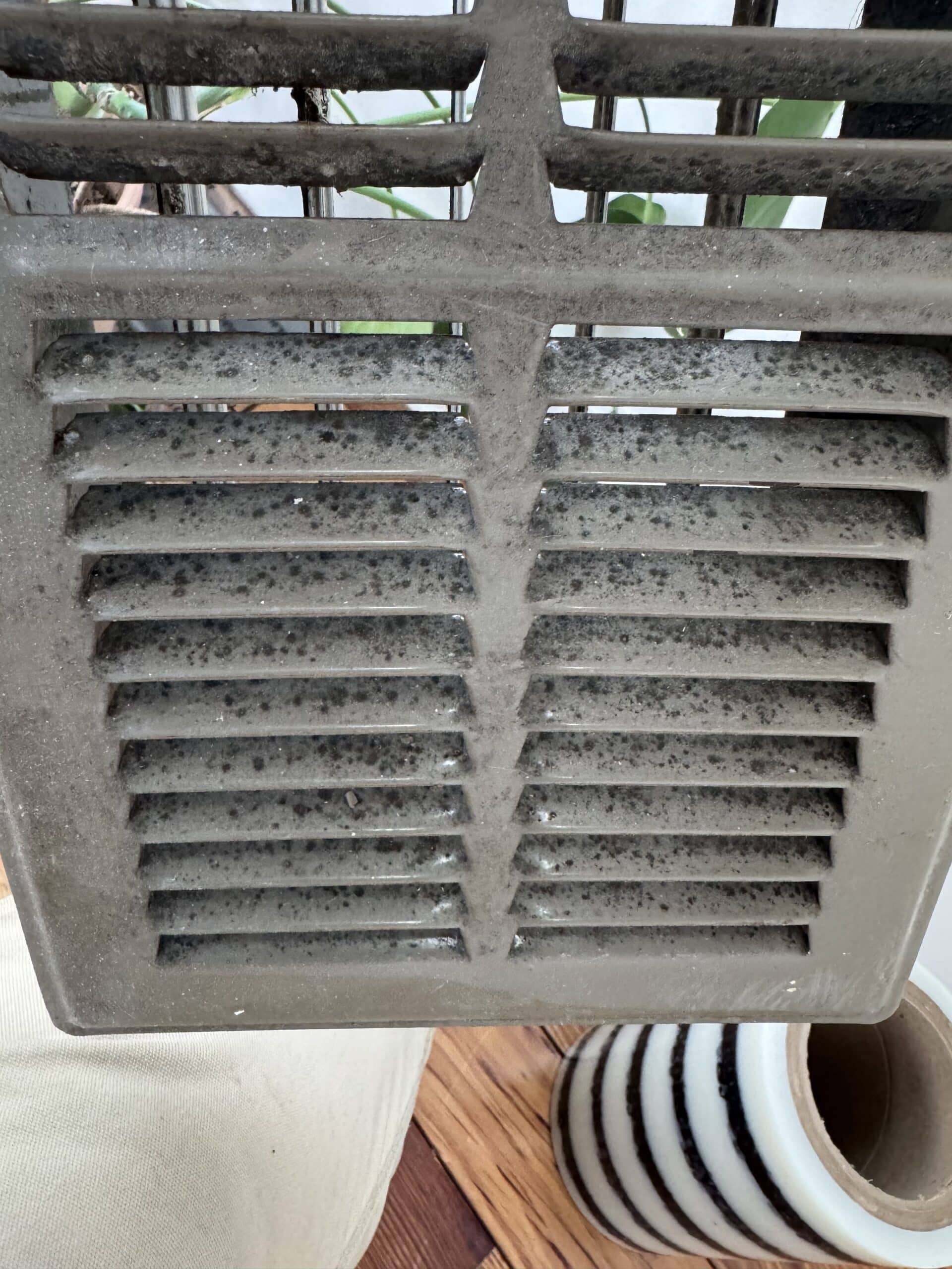 Moldy Floor Grill